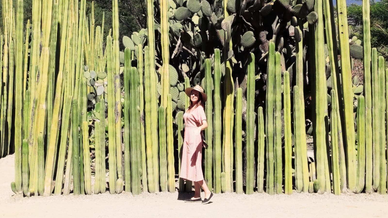 Wizyta w Ogrodzie Etnobotanicznym w mieście Oaxaca